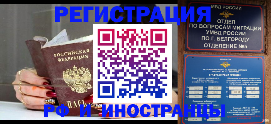 прописка в Козьмодемьянске